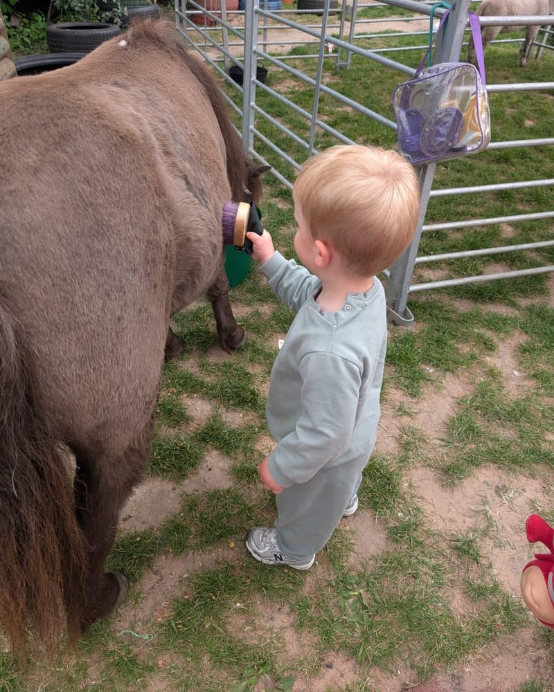 An SCN child meeting a pony at a community visit